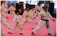 Karate Class